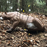 Löwenjagd in Oberbayern